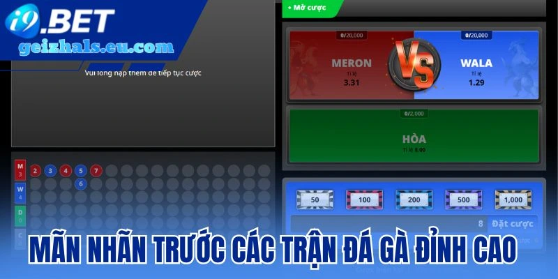 Mãn nhãn trước các trận tranh tài đá gà đỉnh cao
