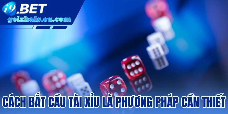Cách bắt cầu tài xỉu là phương pháp cần thiết