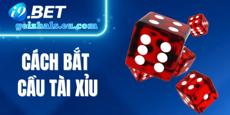 Cách Bắt Cầu Tài Xỉu Siêu Dễ Cho Người Mới Trải Nghiệm