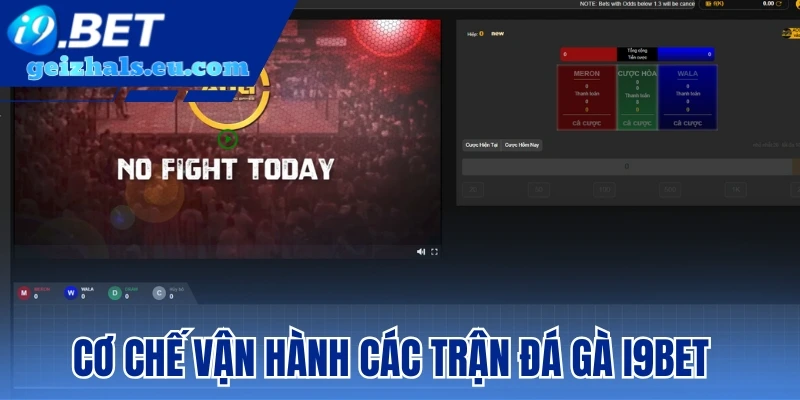 Cơ chế vận hành các trận Đá Gà I9bet