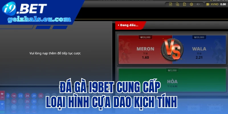 Đá Gà I9bet cung cấp loại hình cựa dao kịch tính