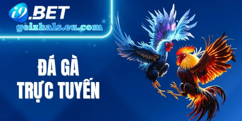 Đá Gà Trực Tuyến I9bet - Nơi Kê Thủ Việt Không Thể Rời Mắt