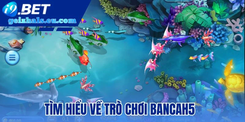Tìm hiểu về trò chơi bancah5